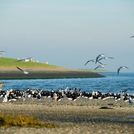 Breeze Ameland Hotel ฮอลลุม ภายนอก รูปภาพ
