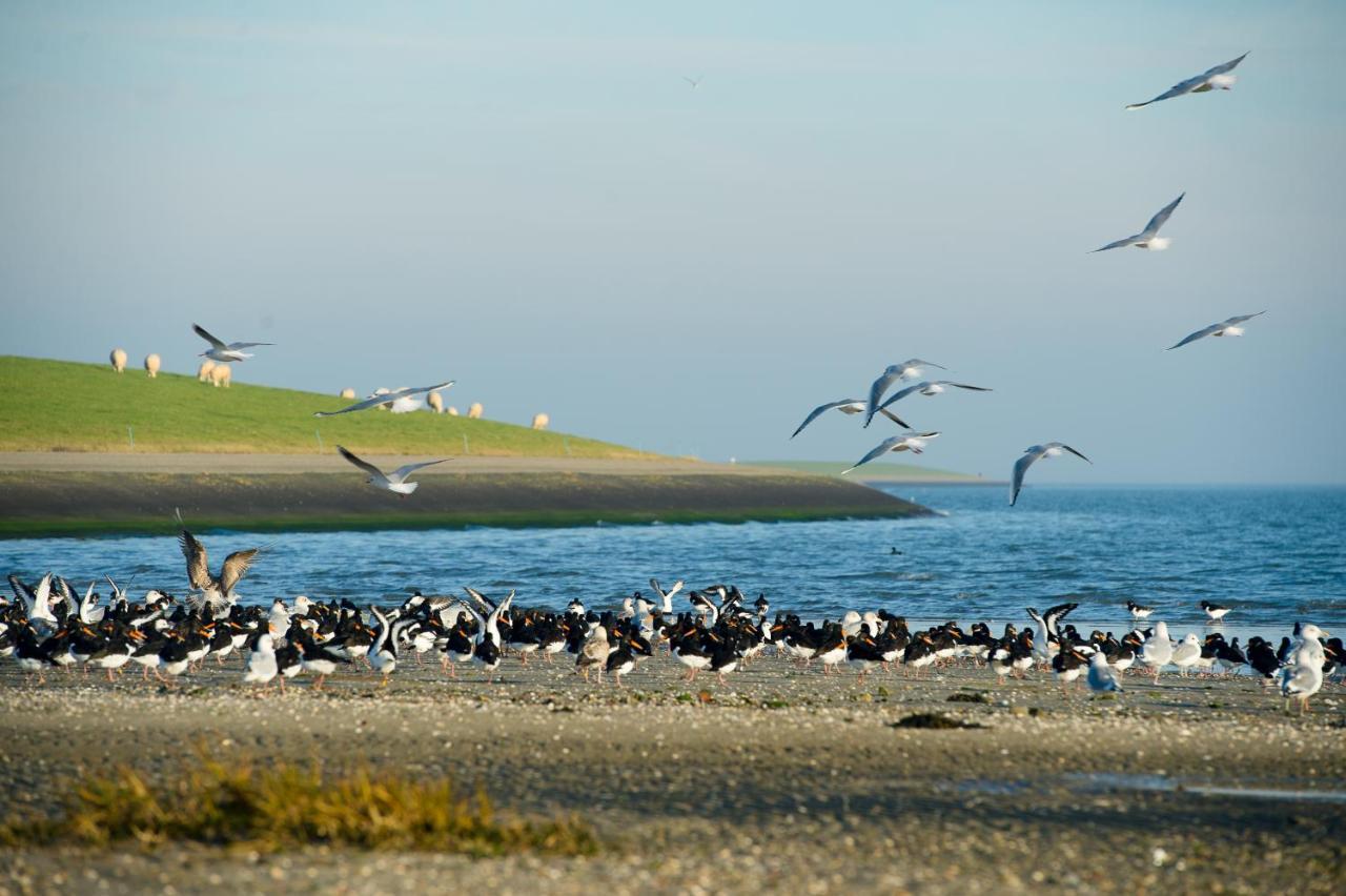 Breeze Ameland Hotel ฮอลลุม ภายนอก รูปภาพ