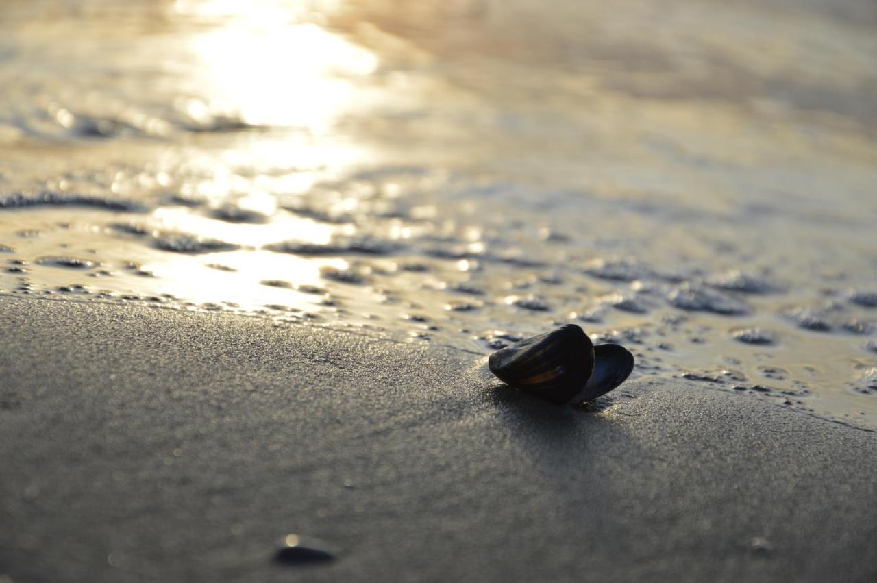 Breeze Ameland Hotel ฮอลลุม ภายนอก รูปภาพ